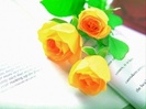 x. Yellow`...