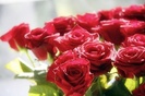 x. Rose`...