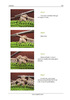 FlowerCrochetEBook_100