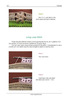FlowerCrochetEBook_101