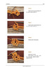 FlowerCrochetEBook_114