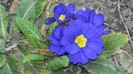 DSCN0006