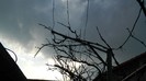 DSCN0012