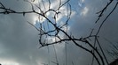 DSCN0013