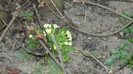DSCN0027