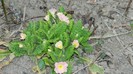 DSCN0034
