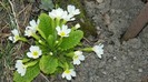 DSCN0038