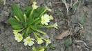DSCN0039
