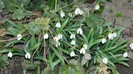 DSCN0045