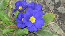 DSCN0048