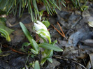 2012, March 17