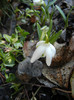 2012, March 17