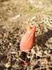 2012, March 17