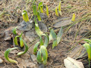2012, March 17