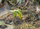 2012, March 17