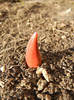 2012, March 17