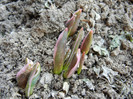 2012, March 18