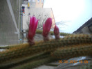 DSCN0178