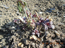 DSCN1390