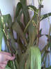 Imag001