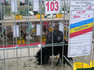 P1010062