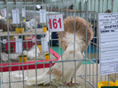 P1010073