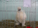 P1010101