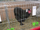 P1010108