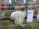 P1010125