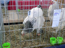 P1010127