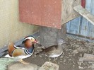 DSCN0405