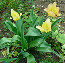 P1130301