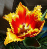 P1300950