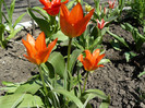P1340730