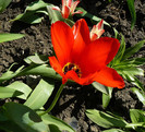 P1340733