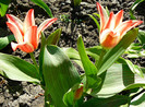 P1340743