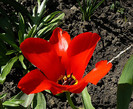 P1340745