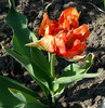 P1340767
