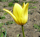P1340771