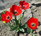 P1350104