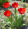 P1350107