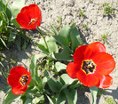 P1350110