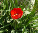 P1350160