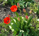 P1350323
