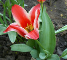 P1350444