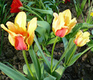 P1350448