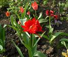 P1350454