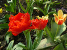 P1350460