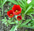 P1350474