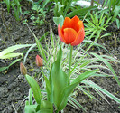 P1350480